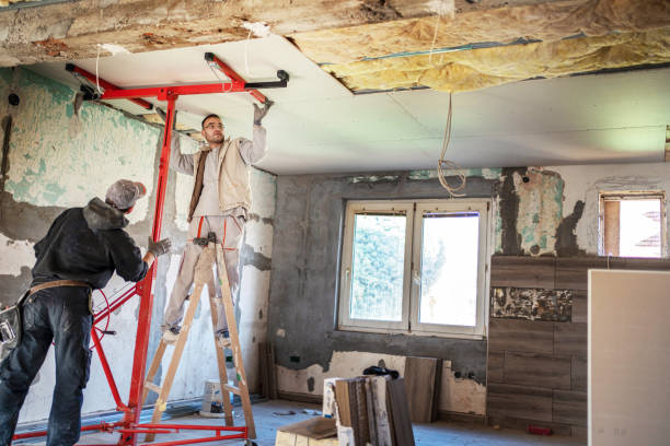 Best Affordable Insulation Services  in Pine Knot, KY
