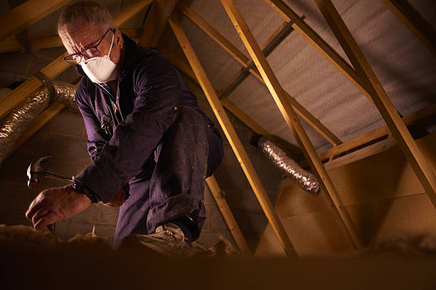 Best Garage Insulation Installation  in Pine Knot, KY