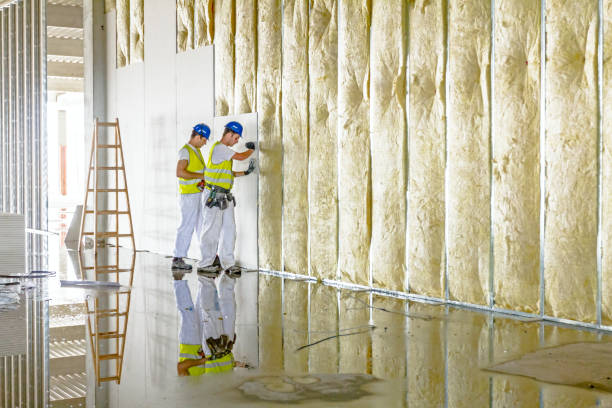 Best Attic Insulation Installation  in Pine Knot, KY